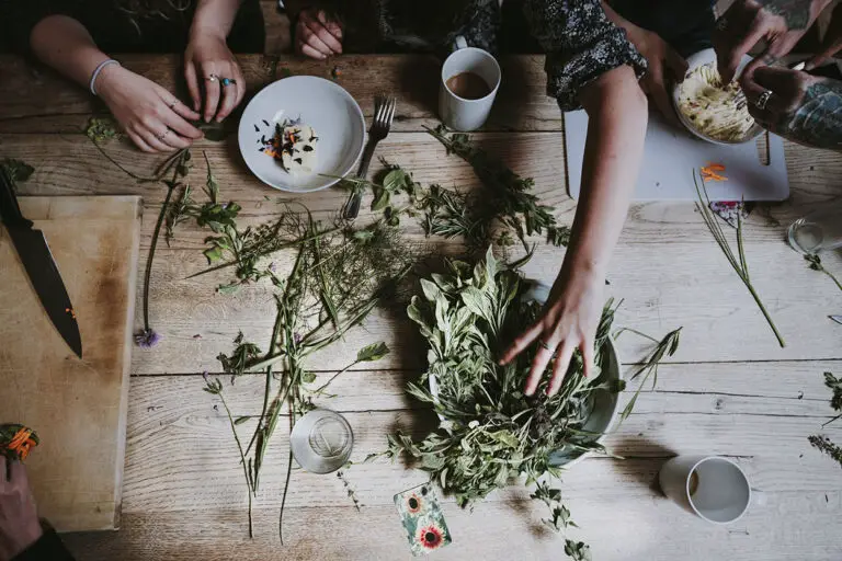 4 Best Witchcraft Herb Kits For Wicca and Pagan Rituals