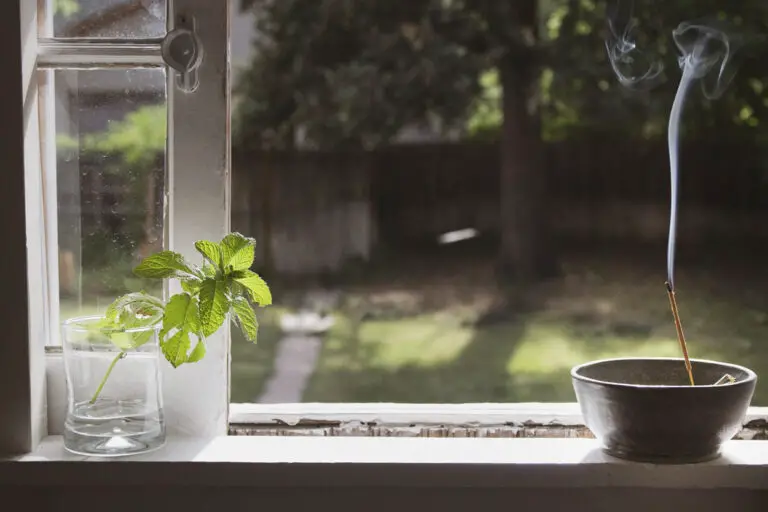 7 Best Incense for Cleansing Opulent Charms