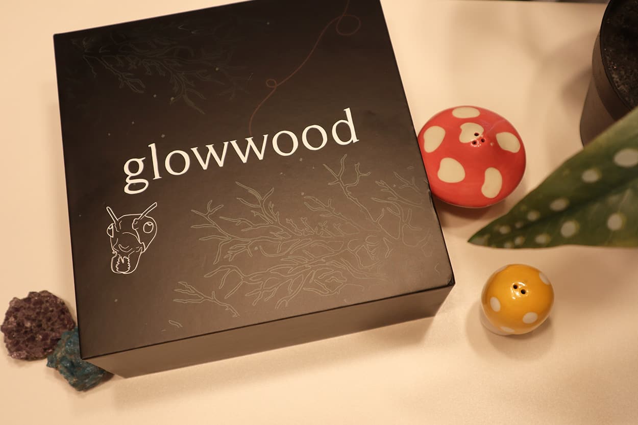 Glowwood oracle deck box next to mushroom ceramics